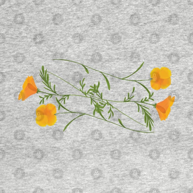 California Poppy Feilds by bubblypumpkin